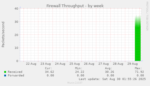 Firewall Throughput